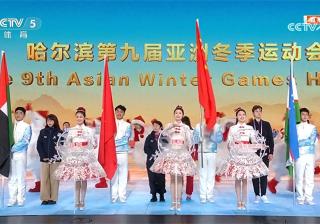 中国队大放异彩，斩获国际盛事辉煌胜利的简单介绍