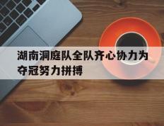 湖南洞庭队全队齐心协力为夺冠努力拼搏的简单介绍