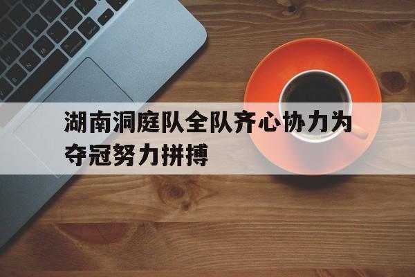 湖南洞庭队全队齐心协力为夺冠努力拼搏的简单介绍